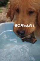 IMGP1176.jpg