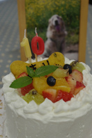 IMGP1287.jpg