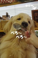 IMGP1378.jpg