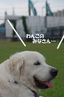 IMGP1553.jpg