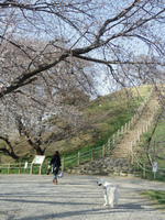 IMGP1693.jpg