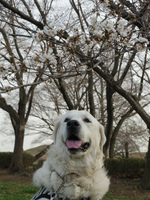 IMGP1778.jpg
