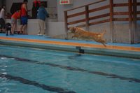 IMGP2080.jpg