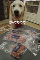 IMGP2105.jpg