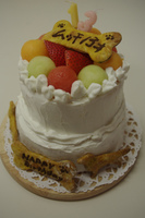 IMGP2120.jpg