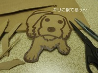 IMGP2210.jpg