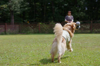 IMGP2259.jpg