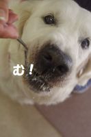IMGP2345.jpg