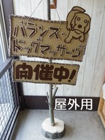 IMGP2394.jpg