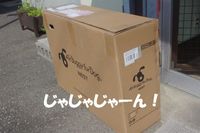IMGP2794a.jpg