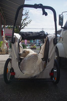 IMGP2815.jpg