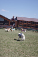 IMGP3062.jpg