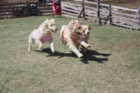 IMGP3064.jpg