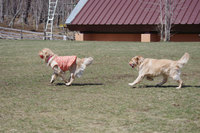 IMGP3150.jpg