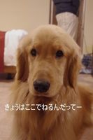 IMGP3526.jpg