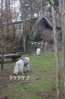 IMGP3547.jpg