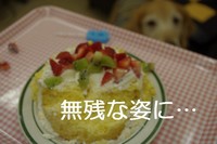 IMGP7353.jpg