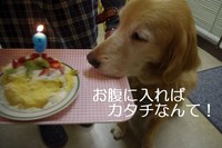 IMGP7376.jpg