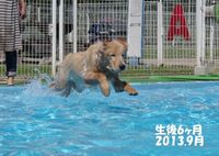 IMGP7748a.jpg