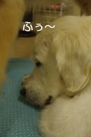 IMGP8027.jpg