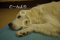 IMGP8032.jpg