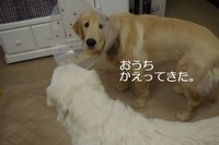 IMGP8122.jpg
