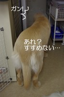IMGP8127.jpg