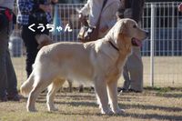 IMGP9168.jpg