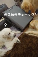 IMGP9417.jpg