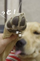 IMGP9704.jpg