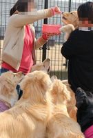 IMG_0839a.jpg