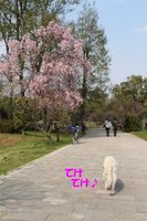 IMG_2428.jpg