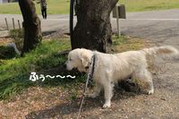 IMG_2433.jpg