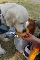 IMG_2442.jpg