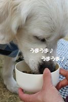 IMG_2450.jpg