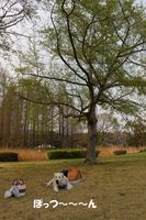 IMG_2475.jpg