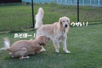 IMG_3259.jpg