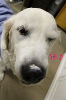 IMG_3722.jpg