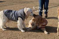 IMG_3775.jpg