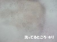 a洗っているところ.jpg