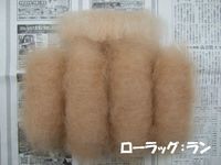 cローラッグ.jpg
