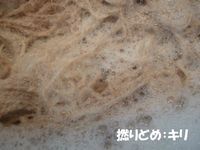 f撚りどめ.jpg