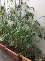image1.jpg